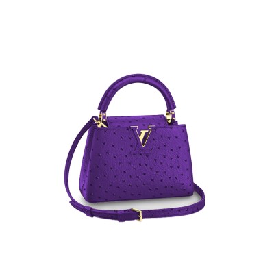 LOUIS VUITTON CAPUCINES MINI M95509 (21*14*8cm) 